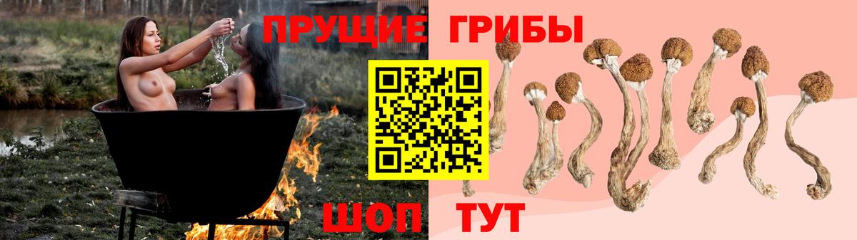 A-PVP Тула